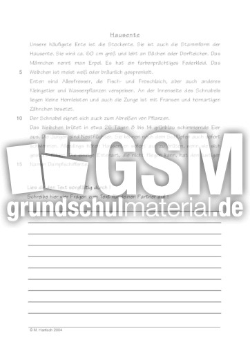 Hausente.pdf